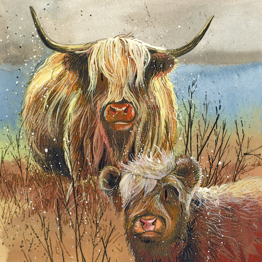 HIGHLAND COWS BLANK CARD AC858
