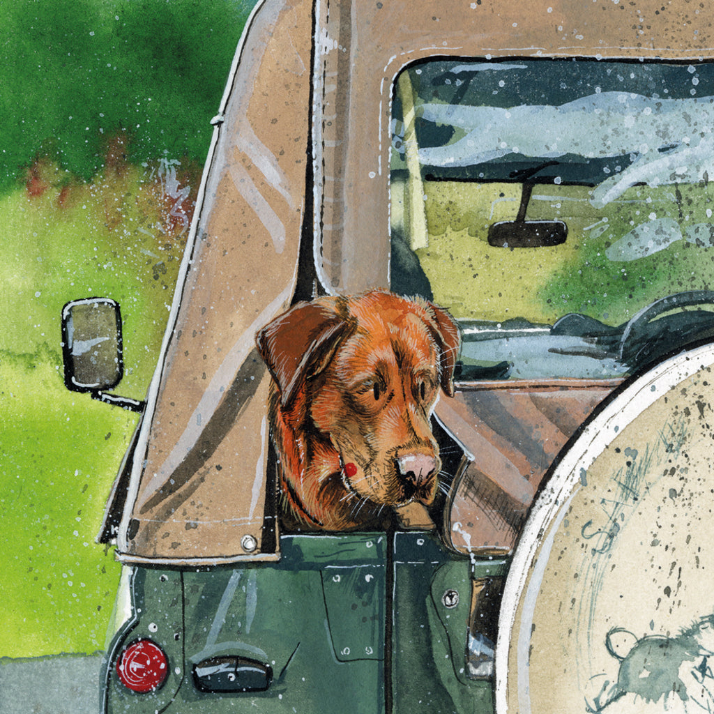 RED FOX LAB BLANK CARD AC862