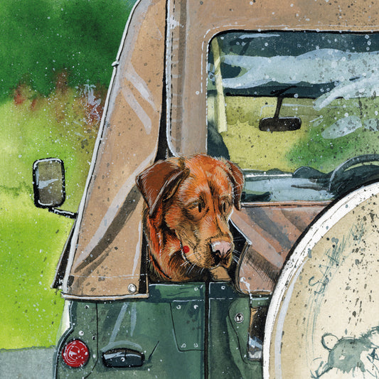 RED FOX LAB BLANK CARD AC862