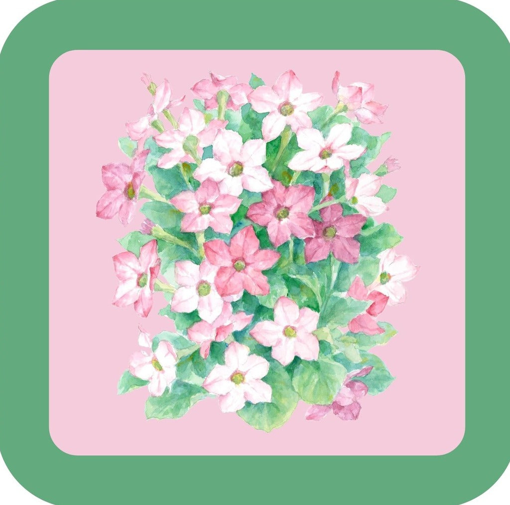 Carols Rose Garden Watercolor Pink Posy Flower Posies Drink Coaster 264918 2519 264918