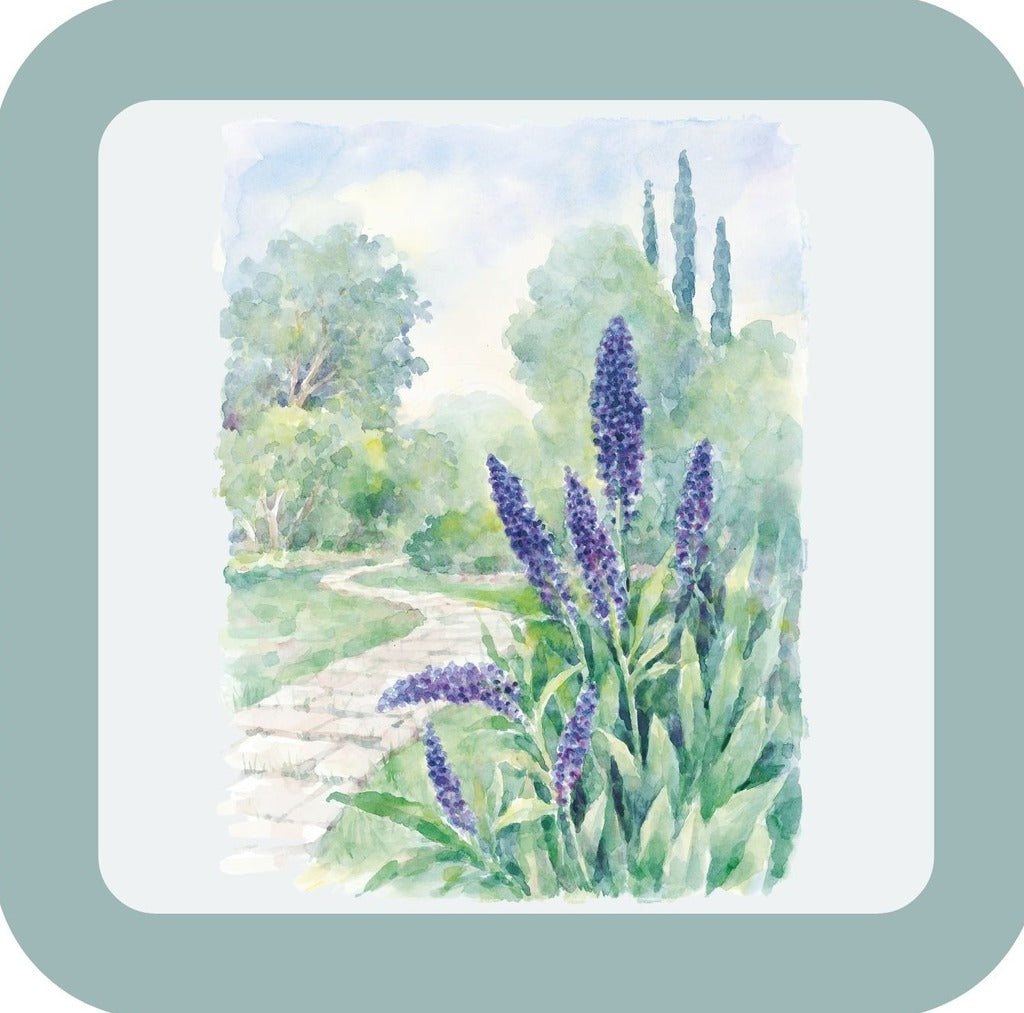 Carols Rose Garden Watercolor Purple Flower Nature Pathway Drink Coaster 264921 2522 264921