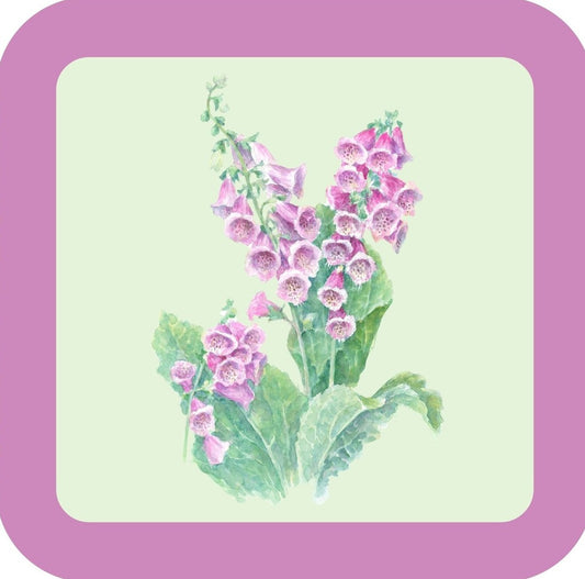 Carols Rose Garden Watercolor Purple Pink Foxglove Flower Drink Coaster 264928 2529 264928