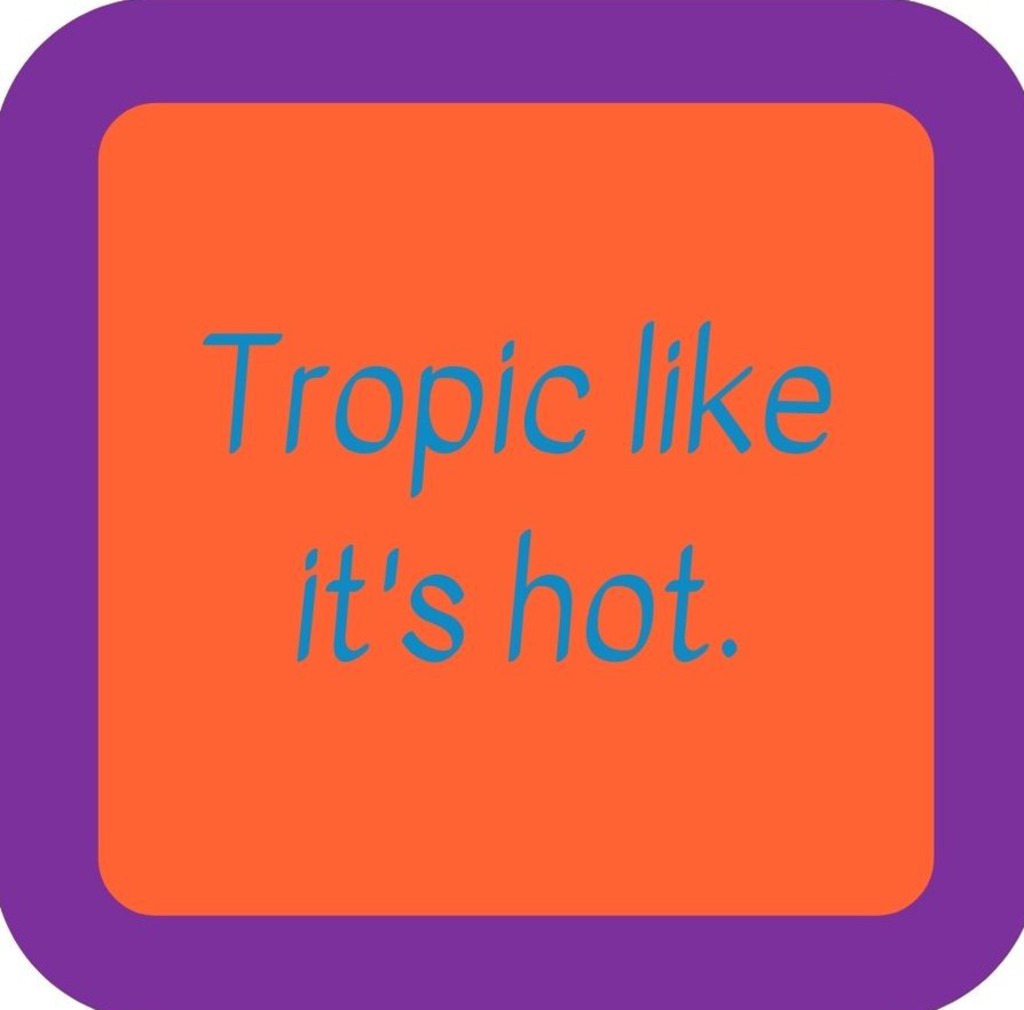 Tropic Like Its Hot Premium Drink Coaster Resin With Cork Backing 265650 SSC2138 265650