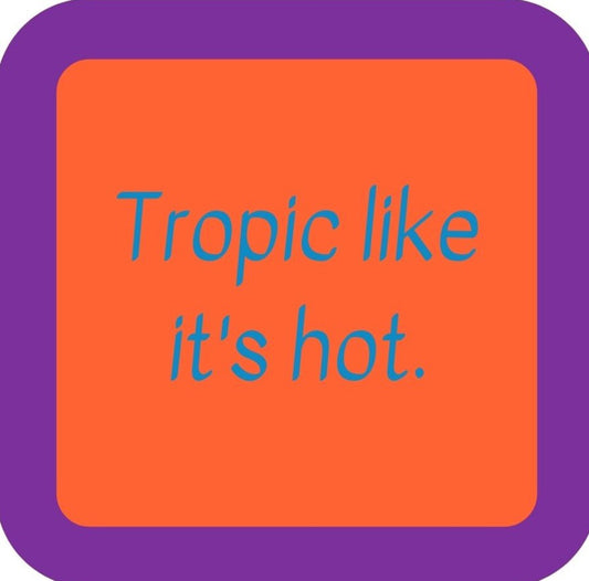 Tropic Like Its Hot Premium Drink Coaster Resin With Cork Backing 265650 SSC2138 265650
