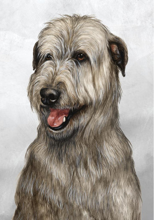 Irish Wolfhound Dog by Tamara Burnett Box of 10 Blank Note Cards 4x5 266601 1062-4x5