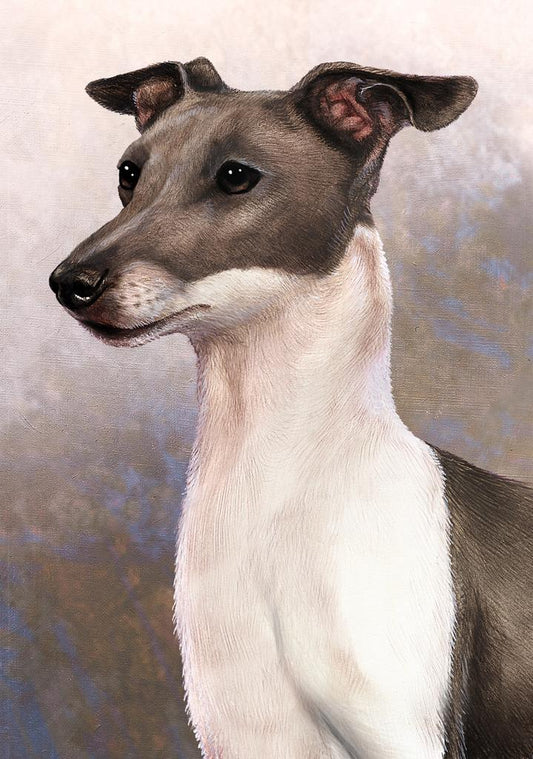 Italian Greyhound Dog by Tamara Burnett Box of 10 Blank Note Cards 4x5 266602 1066-4x5