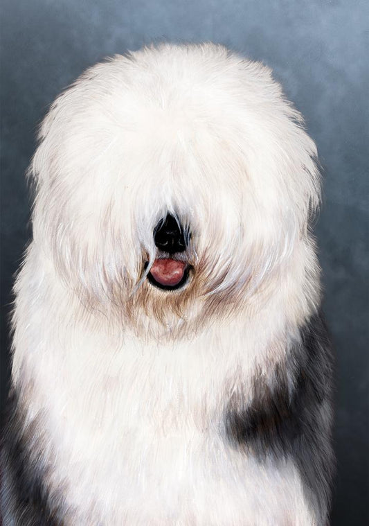 Old English Sheepdog Dog by Tamara Burnett Box of 10 Blank Note Cards 4x5 266618 1078-4x5