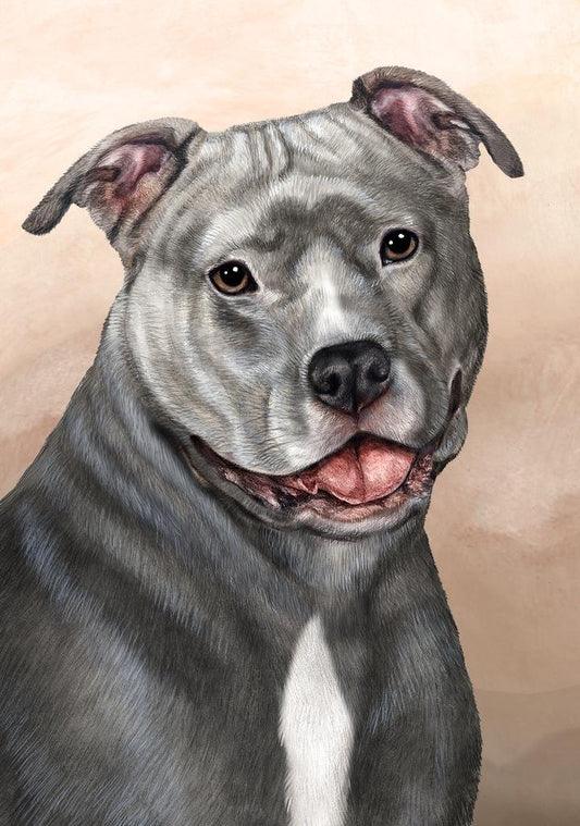 Pit Bull Dog by Tamara Burnett Box of 10 Blank Note Cards 4x5 266622 1082-4x5