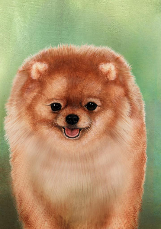 Pomeranian Dog by Tamara Burnett Box of 10 Blank Note Cards 4x5 266623 1081-4x5