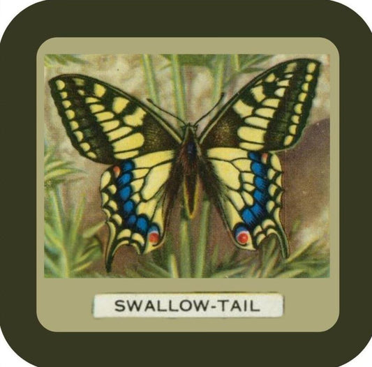 Swallow Tail  Butterfly Vintage Advertising Premium Drink Coaster Resin With Cork Backing NC267057 267057