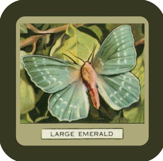 Large Emerald Butterfly Vintage Advertising Premium Drink Coaster Resin With Cork Backing NC267058 267058