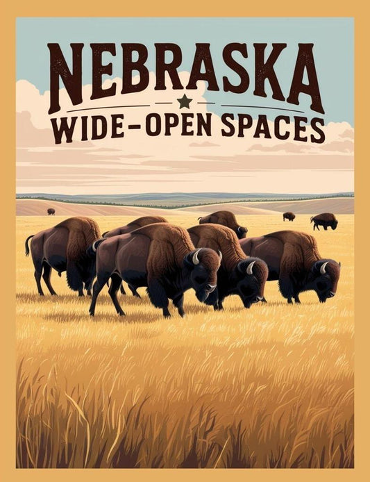 Nebraska Wide Open Spaces Buffalo Retro Travel Poster Art Box of 10 Blank Note Cards 4x5 267317