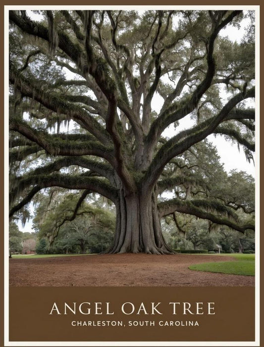 South Carolina Angel Oak Tree Charleston Retro Travel Poster Box of 10 Blank Note Cards 4x5 267416