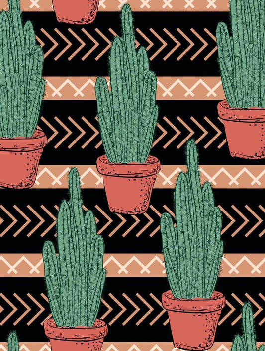 Cute Cactus Southwest Black Terracotta Arrows Box of 10 Blank Note Cards 4x5 267829