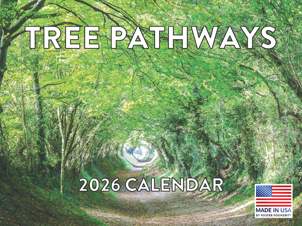Tree Pathways Nature Calendar 2026 Forest Trees Monthly Wall Calender 12 Month | American Made In The USA 267999