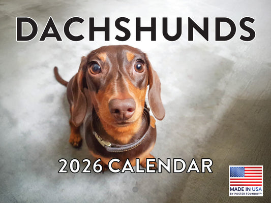 Dachshund Calendar 2026 Monthly Wall Calender 12 Month | American Made In The USA 268033