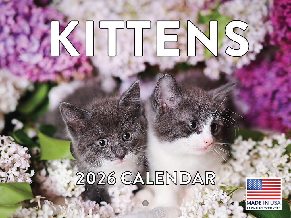 Kitten Calendar 2026 Cat Kitty Gifts Monthly Wall Calender 12 Month | American Made In The USA 268035