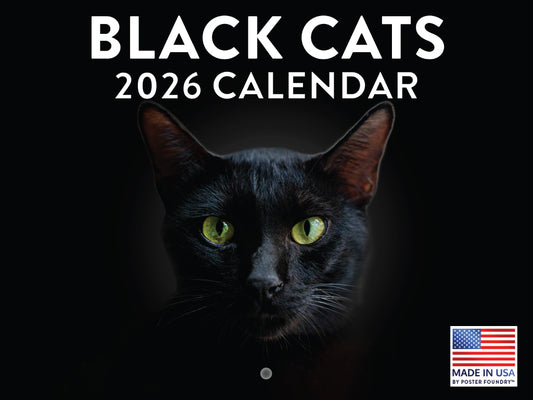 Black Cat Calendar 2026 Black Cats Monthly Wall Calender 12 Month | American Made In The USA 268040