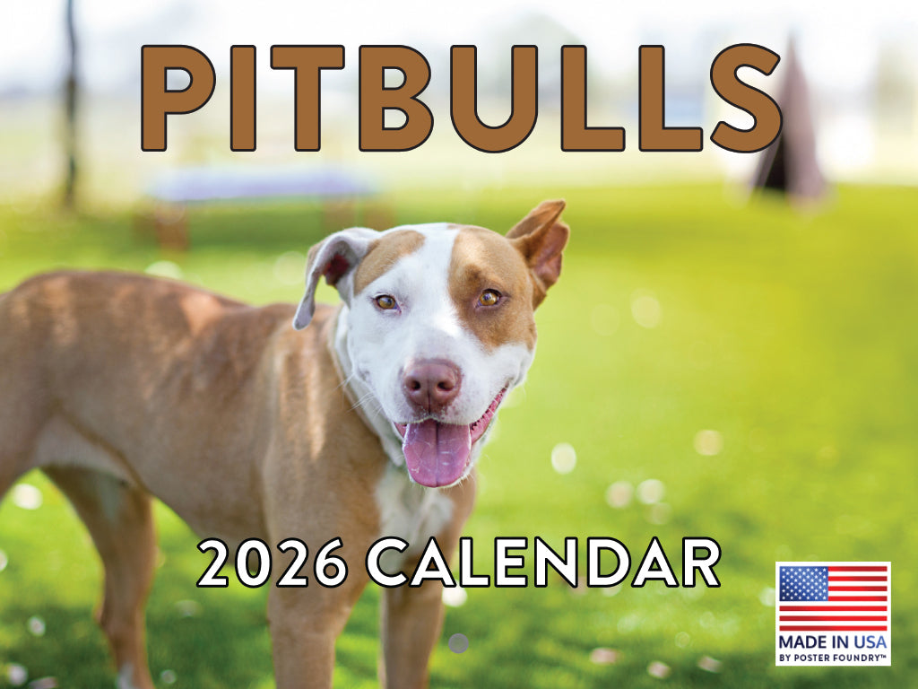 Pitbull Calendar 2026 Pit Bull Monthly Wall Calender 12 Month | American Made In The USA 268041