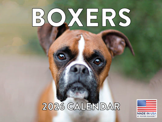 Boxer Calendar 2026 Boxer Dog Gifts Monthly Wall Calender 12 Month | American Made In The USA 268044