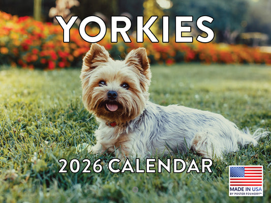 Yorkie Calendar 2026 Yorkshire Terrier Monthly Wall Calender 12 Month | American Made In The USA 268057