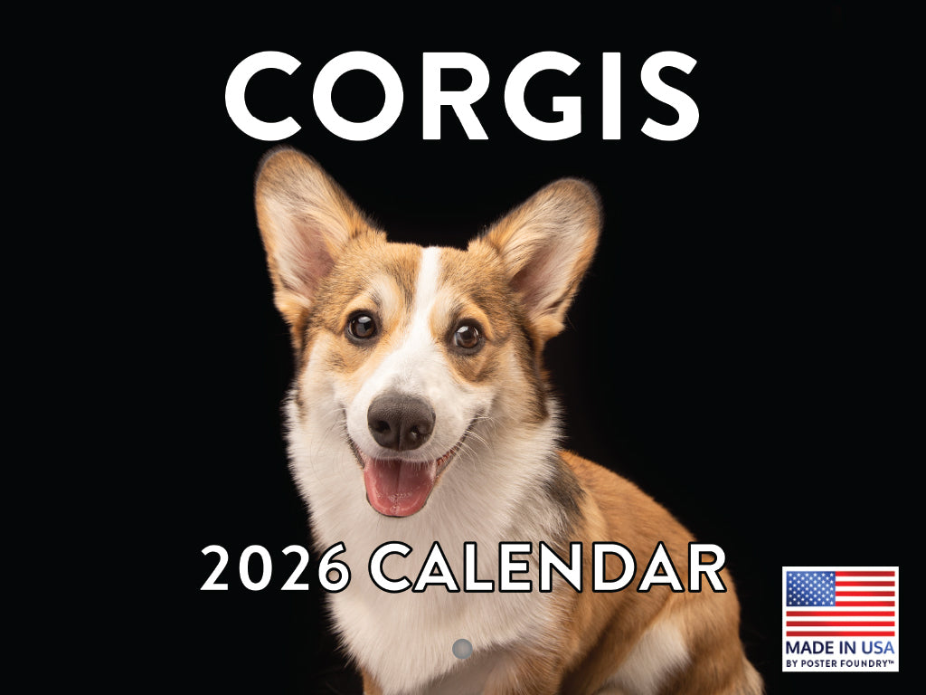 Corgi Calendar 2026 Corgi Gifts Monthly Wall Calender 12 Month | American Made In The USA 268059