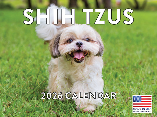 Shih Tzu Calendar 2026 Shitzu Monthly Wall Calender 12 Month | American Made In The USA 268105