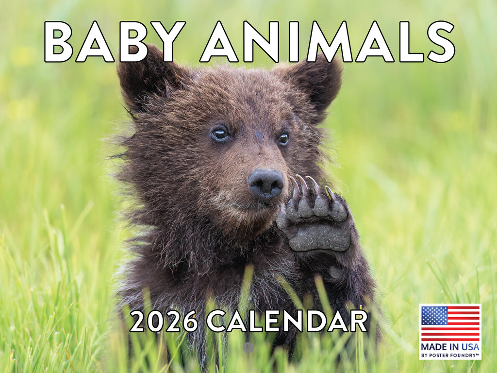 Cute Baby Animal Calendar 2026 Kids Monthly Wall Calender 12 Month | American Made In The USA 268238