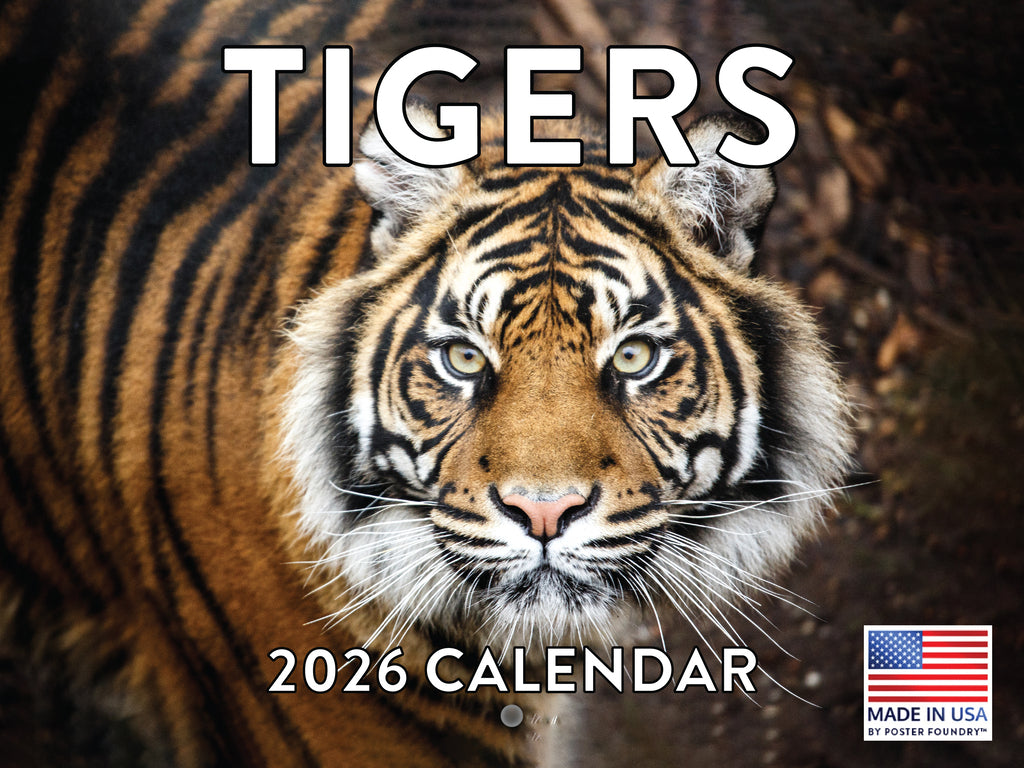 Tiger Calendar 2026 Monthly Wall Calender 12 Month | American Made In The USA 268328