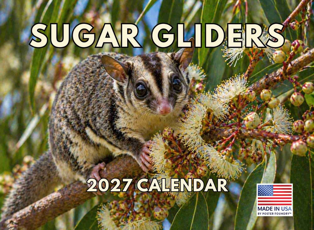 Sugar Glider Calendar 2027 Monthly Wall | American Made In The USA 268594