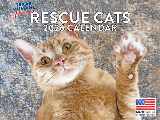 Rescue Cat Calendar 2026 Monthly Wall Calender 12 Month | American Made In The USA 268959