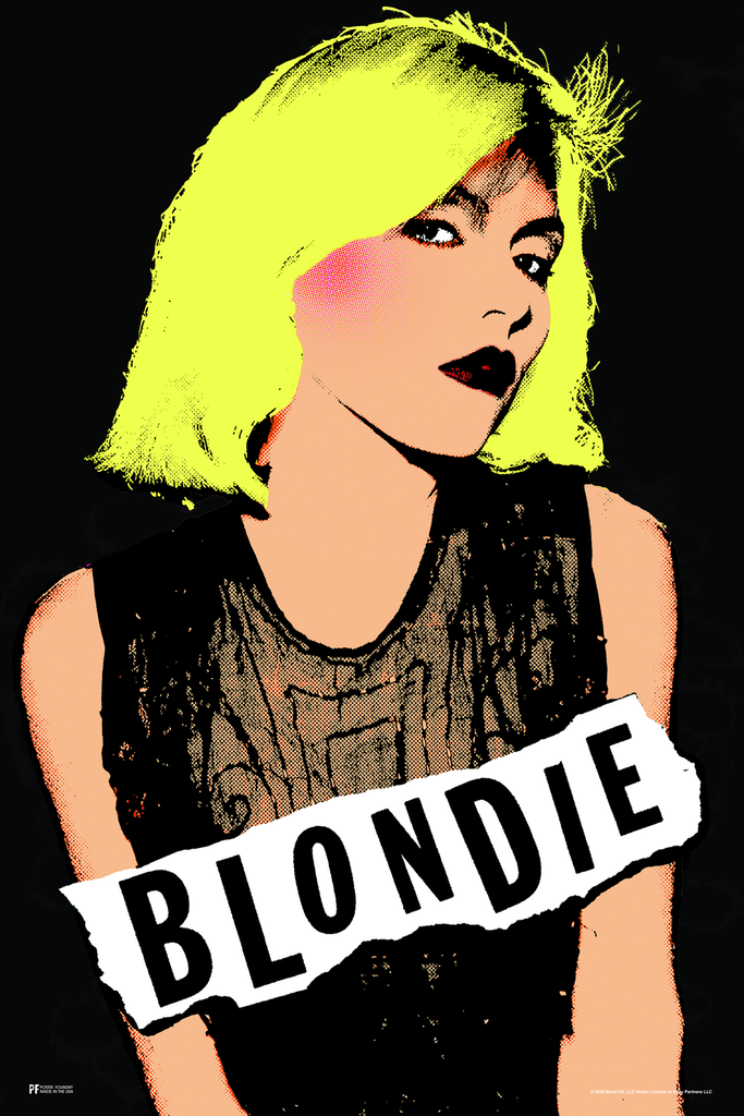 Blondie Poster Punk Rock Cool Wall Art Print Poster 12x18 269534