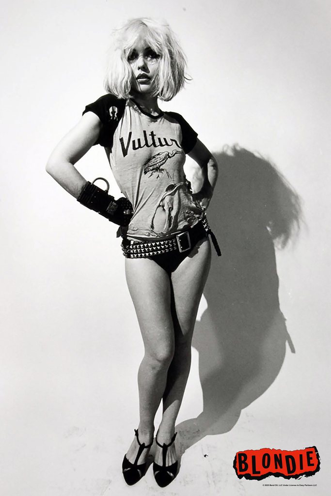 Blondie Poster Vultures Punk Rock Debbie Harry Cool Wall Art Print Poster 12x18 269535