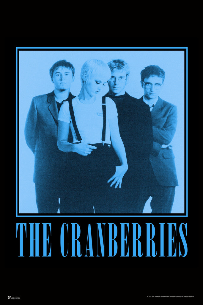 Cranberries Band NNTA Blue Cool Wall Art Print Poster 12x18 269598