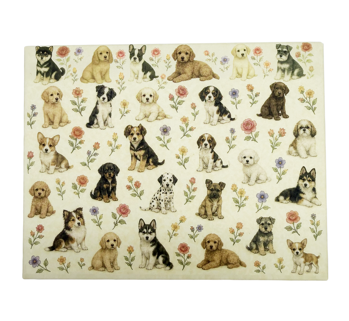 Puppies Boxed Notecards NCP2801 269602