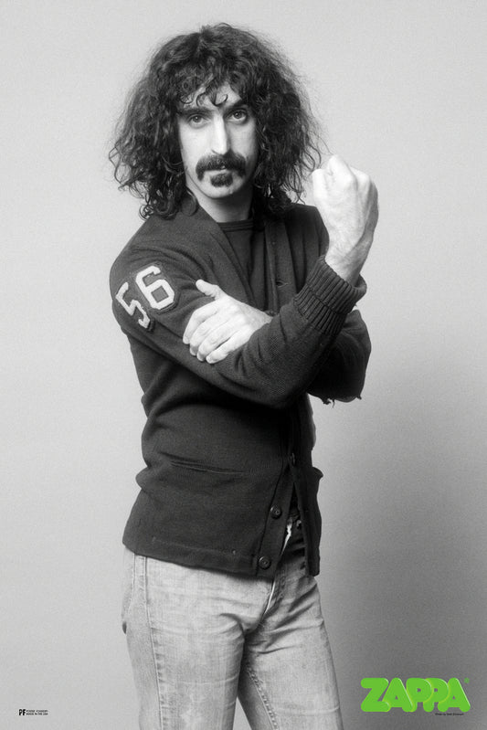Frank Zappa Fist Cool Wall Art Print Poster 24x36 269765