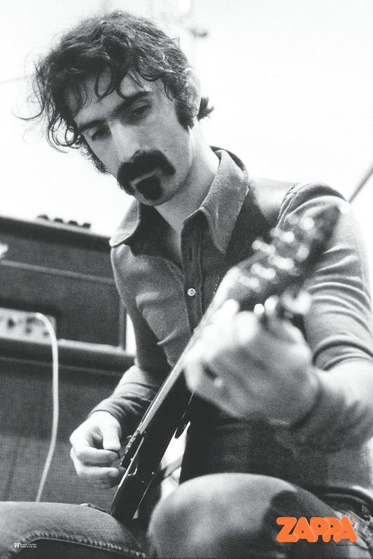 Frank Zappa Guitar Cool Wall Art Print Poster 24x36 269764