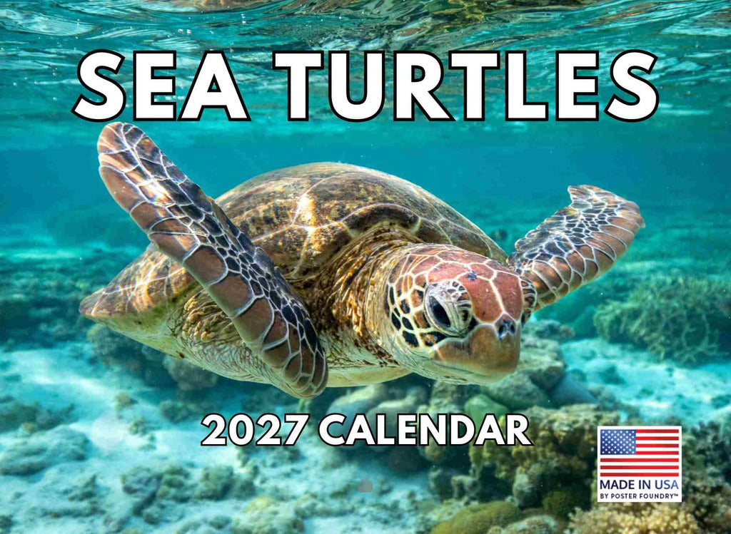 Sea Turtle Calendar 2027 Turtles Monthly Wall Calender 12 Month | American Made In The USA 270151