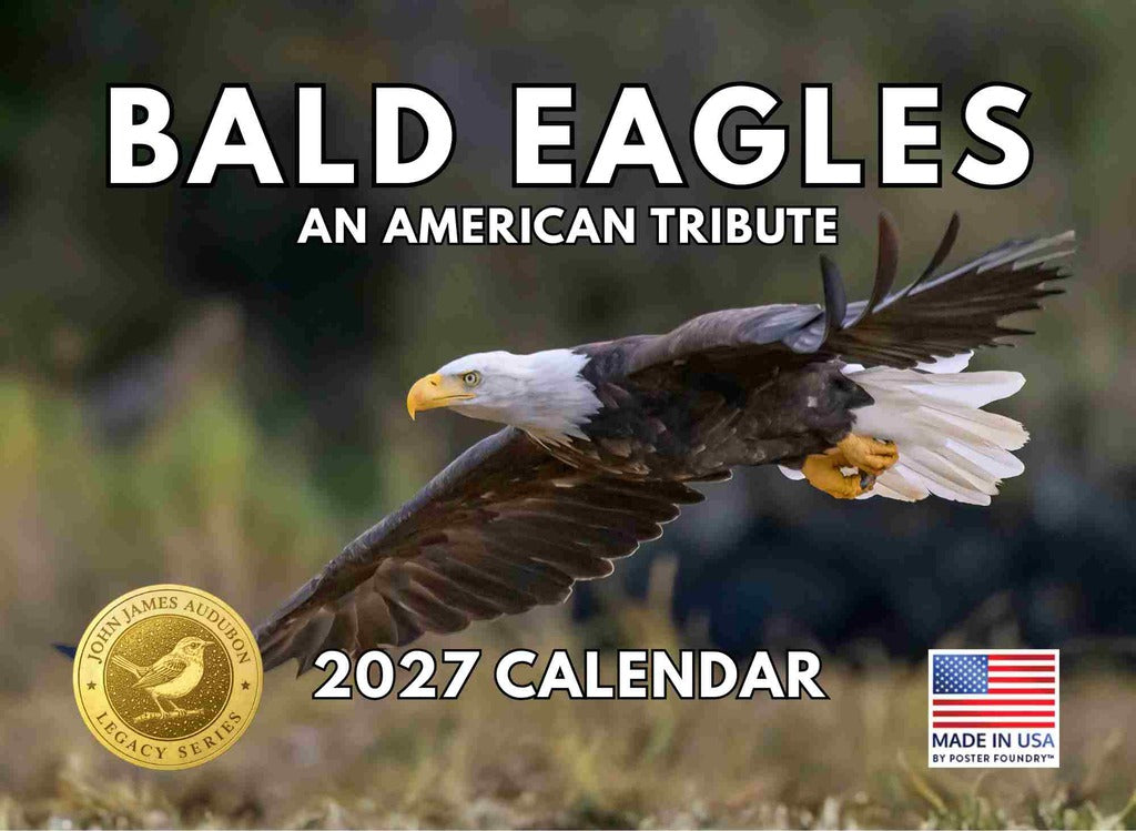 JJ Audubon Tribute Bald Eagle Calendar 2027 Monthly Wall Calender 12 Month | American Made In The USA 270204