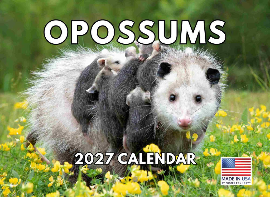 Opossum Calendar 2027 Wall 12 Month Opossums Gifts For Opossum Lovers Women Men Monthly Calender| American Made In The USA 270205