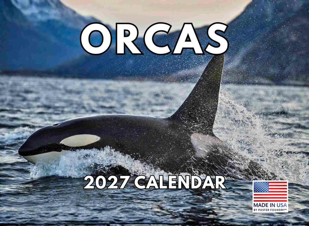 Orca Calendar 2027 Killer Whale Monthly Wall Calender 12 Month | American Made In The USA 270259