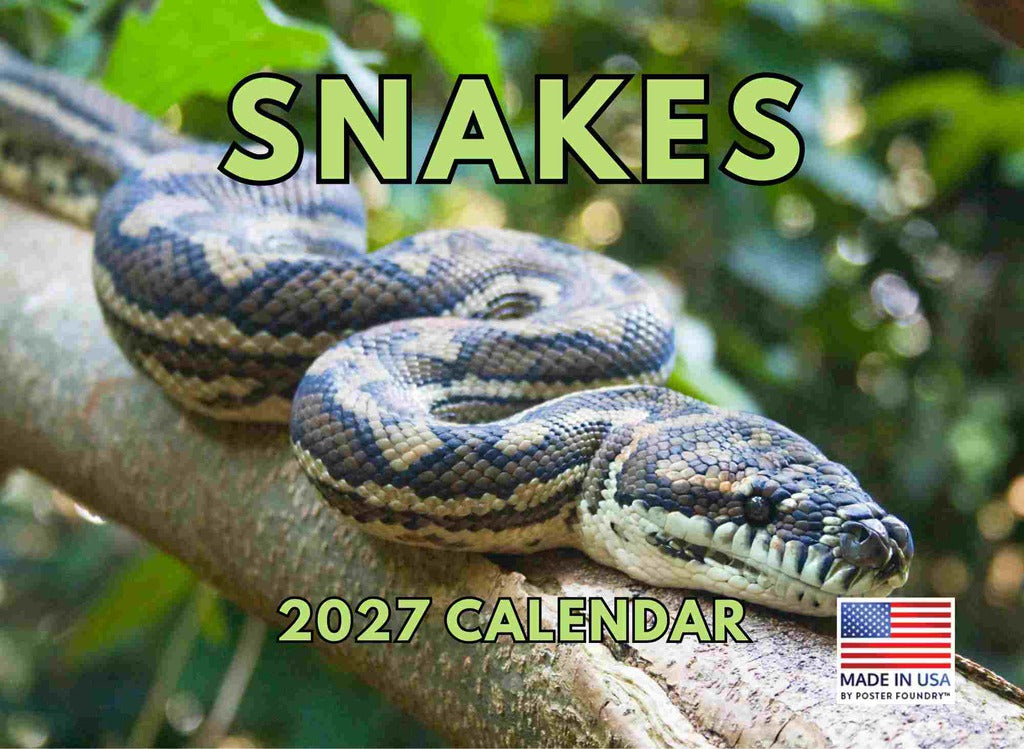 Snake Calendar 2027 Snakes Monthly Wall Calender 12 Month | American Made In The USA 270278