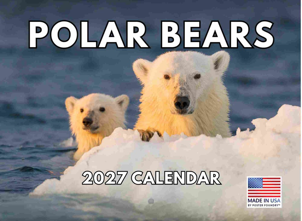 Polar Bear Calendar 2027 Monthly Wall Calender 12 Month | American Made In The USA 270284