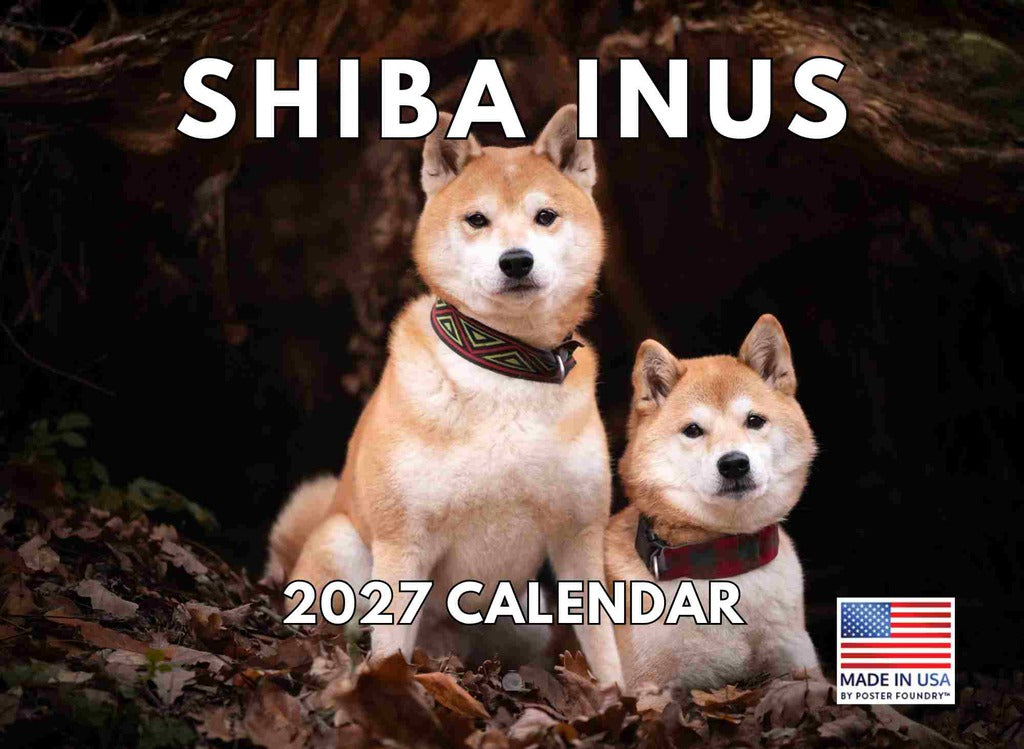 Shiba Inu Calendar 2027 Monthly Wall Calender 12 Month | American Made In The USA 270285