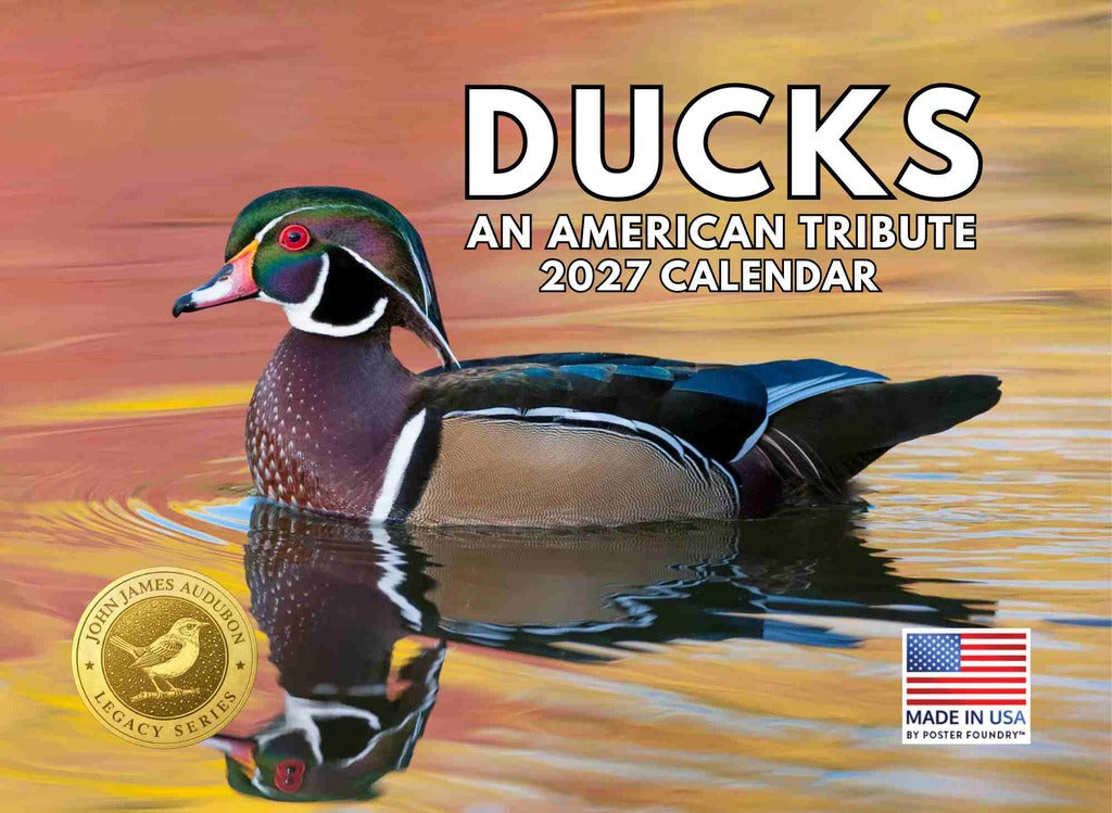 JJ Audubon Tribute Duck Calendar 2027 Ducks Monthly Wall Calender 12 Month | American Made In The USA 270304