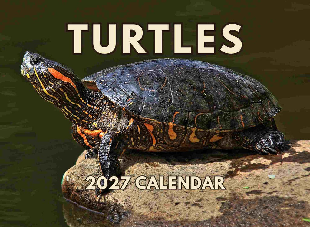 Turtle Calendar 2027 Monthly Wall Calender 12 Month | American Made In The USA 270324