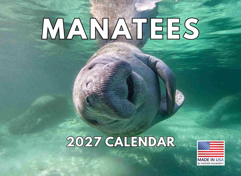 Manatee Calendar 2027 Monthly Wall Calender 12 Month | American Made In The USA 270331