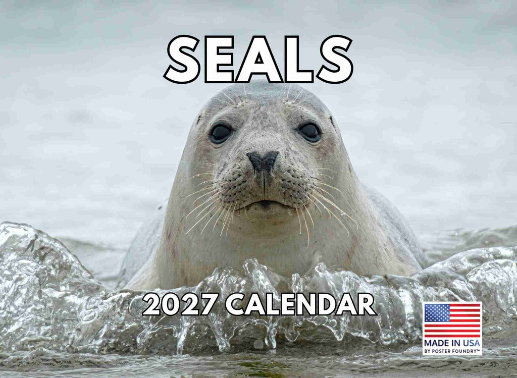 Seal Calendar 2027 Monthly Wall Calender 12 Month | American Made In The USA 270413