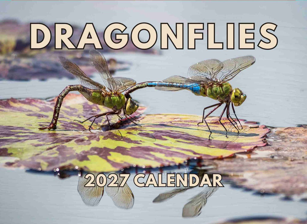 Dragonfly Calendar 2027 Monthly Wall Calender 12 Month | American Made In The USA 270464