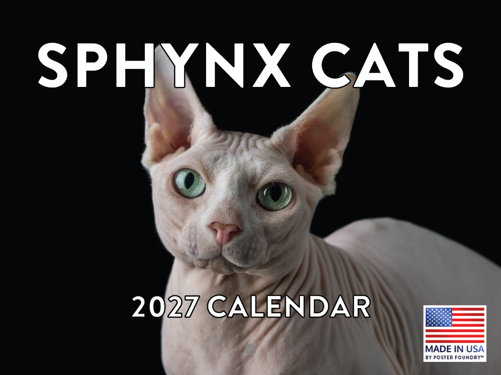 Sphynx Cat Calendar 2027 Hairless Cat Gifts Monthly Wall Calender 12 Month 270497
